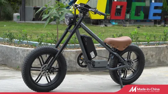 60V3000W Cooles Auto Elektroauto Prince Modell Heavy Duty Bike