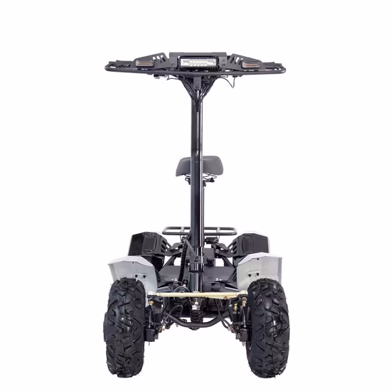 6000W60V 3000W 60V Elektro-ATV-Quad-Bike aus