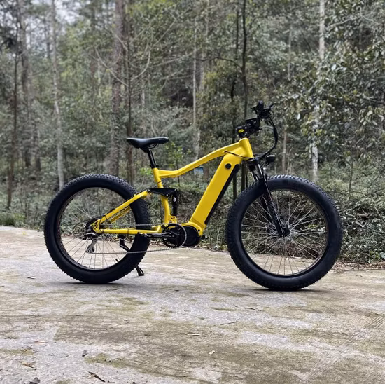 Starkes Rahmen-Fat-Reifen-Cargo-Elektrofahrrad
